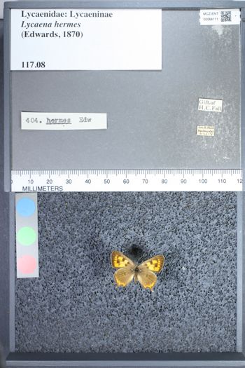 Media type: image;   Entomology 64111